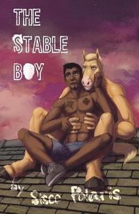 bokomslag The Stable Boy
