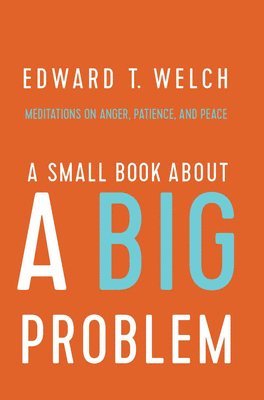 A Small Book about a Big Problem: Meditations on Anger, Patience, and Peace 1