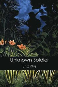 bokomslag Unknown Soldier