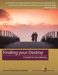 bokomslag Finding your Destiny