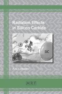 bokomslag Radiation Effects in Silicon Carbide