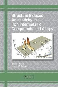 bokomslag Structure Induced Anelasticity in Iron Intermetallic Compounds and Alloys