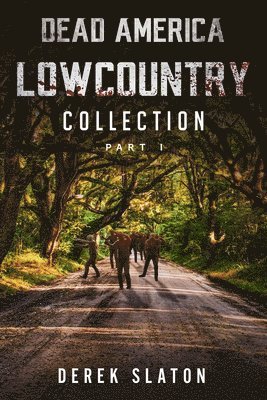 bokomslag Dead America Lowcountry Collection Part 1 - Books 1 - 6