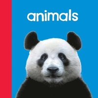 bokomslag Baby Beginnings: Animals
