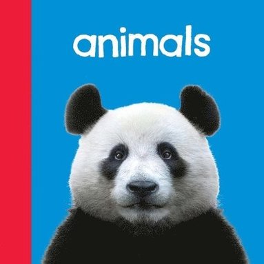 bokomslag Baby Beginnings: Animals