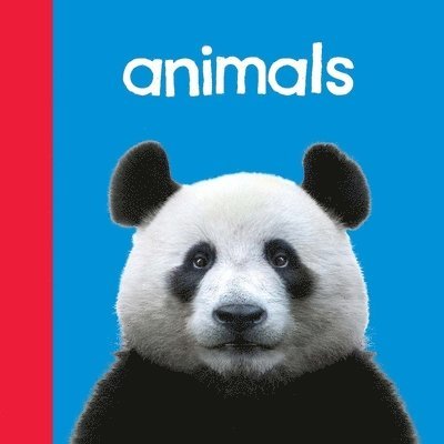 Baby Beginnings: Animals 1