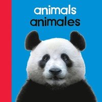 bokomslag Baby Beginnings: Animals / Animals