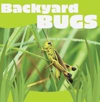bokomslag Backyard Bugs