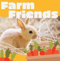 bokomslag Farm Friends