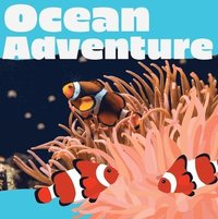 bokomslag Ocean Adventure