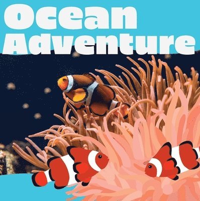 Ocean Adventure 1