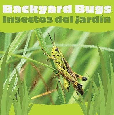 Chosen Spot Publishing - Backyard Bugs / Insectos del Jardín, Kartonnage