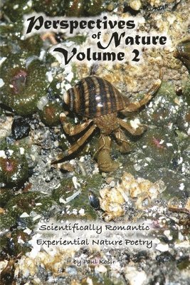 Perspectives of Nature Volume 2 1