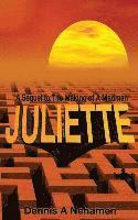 bokomslag Juliette: A Sequel To The Making of A Madman