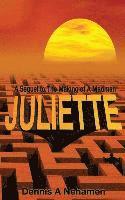 Dennis a. Nehamen, Dennis A. Nehamen - Juliette: A Sequel To The Making of A Madman, Häftad