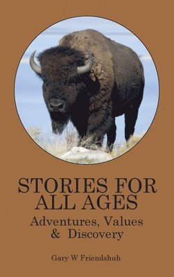 bokomslag Stories for All Ages