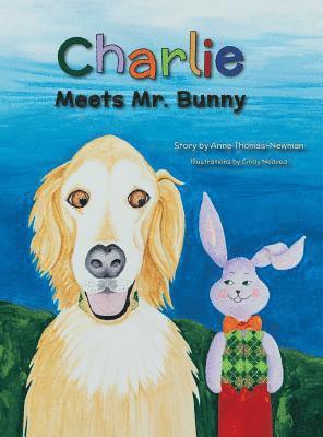 Charlie Meets Mr. Bunny 1