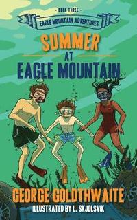bokomslag Summer at Eagle Mountain