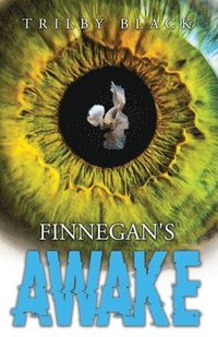 bokomslag Finnegan's Awake