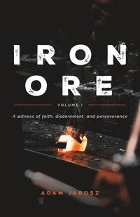 bokomslag Iron Ore - The Journal of a Man