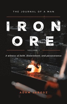 bokomslag Iron Ore