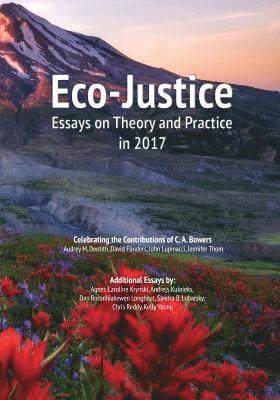 Audrey M Dentith, David Flinders, John Lupinacci - Eco-Justice, Häftad