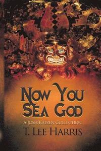 bokomslag Now You Sea God
