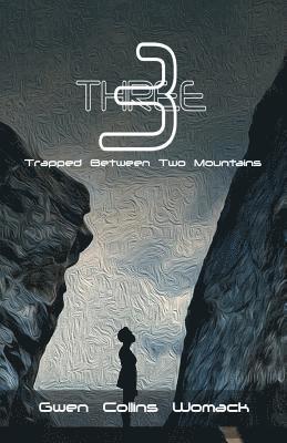 bokomslag Three
