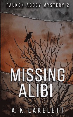 bokomslag Missing Alibi