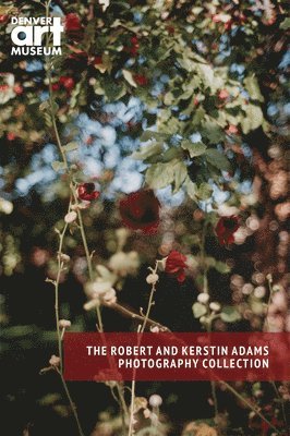 Companion To The Robert And Kerstin Adams Photography Collection At The Denver Art Museum 1