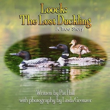 bokomslag Loock: The Lost Duckling: A True Story