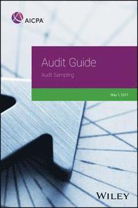 bokomslag Audit Guide