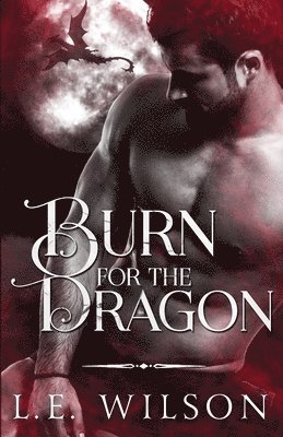 bokomslag Burn For The Dragon