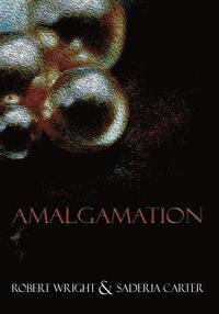bokomslag Amalgamation: (Black & White Edition)