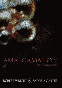 bokomslag Amalgamation: (Full Color edition)