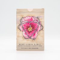 bokomslag Next World Tarot