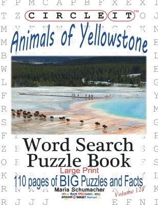 bokomslag Circle It, Animals of Yellowstone, Large Print, Word Search, Puzzle Book