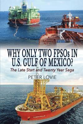 Why Only Two FPSOs in U.S. Gulf of Mexico? 1