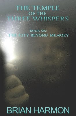 Brian Harmon - City Beyond Memory, Häftad