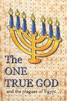 Ahava Lilburn - The One True God: and the plagues of Egypt, Häftad