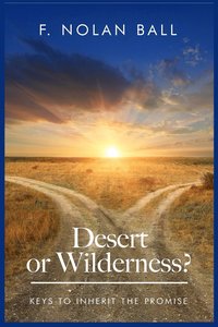bokomslag Desert or Wilderness