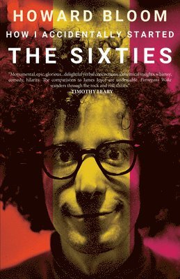 How I Accidentally Started the Sixties