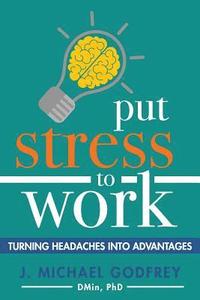 bokomslag Put Stress to Work: Turning headaches into advantages