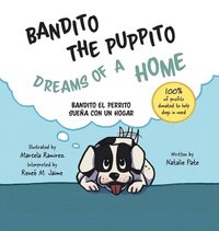 bokomslag Bandito the Puppito Dreams of a Home (Hardcover)