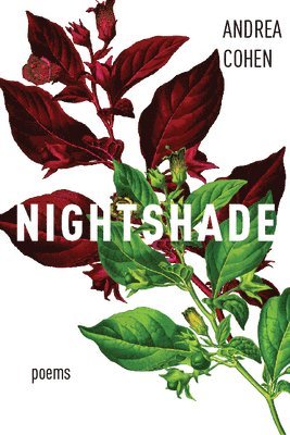 bokomslag Nightshade