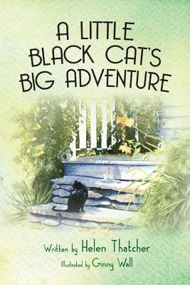 bokomslag Little Black Cat's Big Adventure
