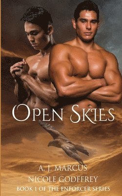 Open Skies 1