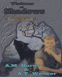 bokomslag Visions of Shadows