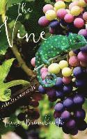 The Vine 1