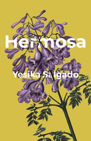 Yesika Salgado - Hermosa, Häftad